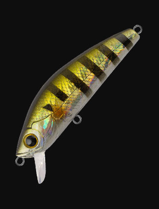 category
